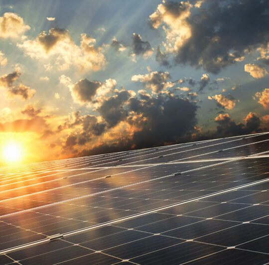 portfolio-11 portfolio-11