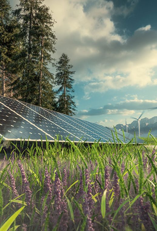 portfolio-13 portfolio-13