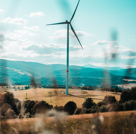 portfolio-22 portfolio-22