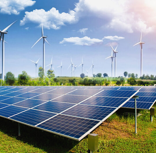 portfolio-23 portfolio-23