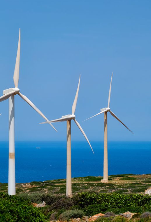 portfolio-3 portfolio-3